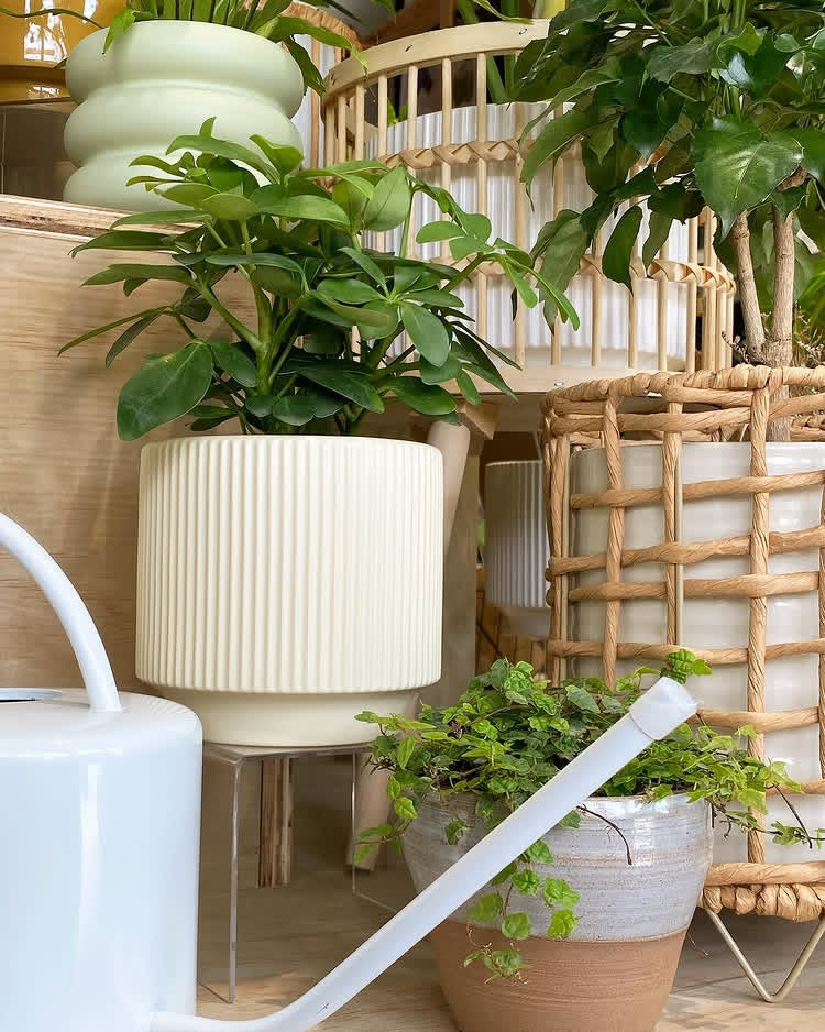 New Arrivals: Curated Collection