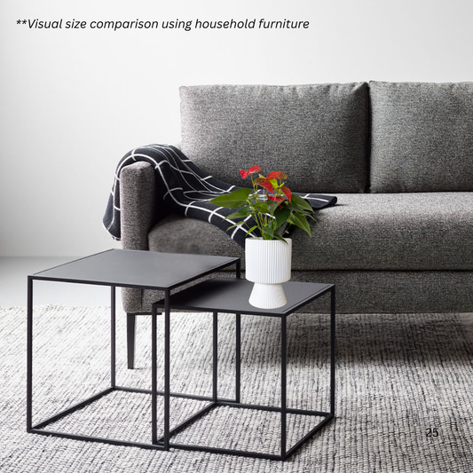 Anthurium Fiancee in Estrella Pot