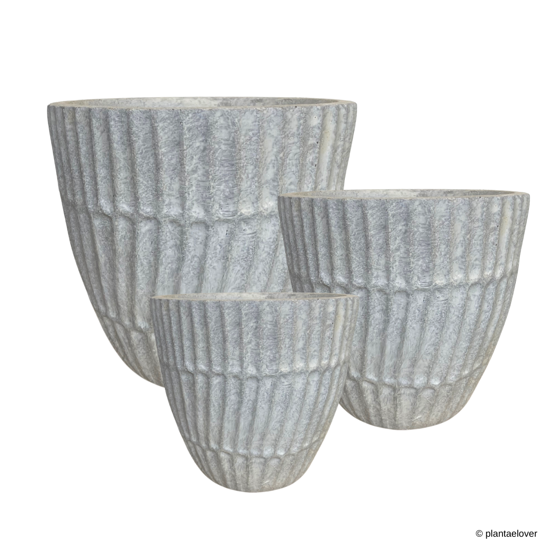 Titanium Planter