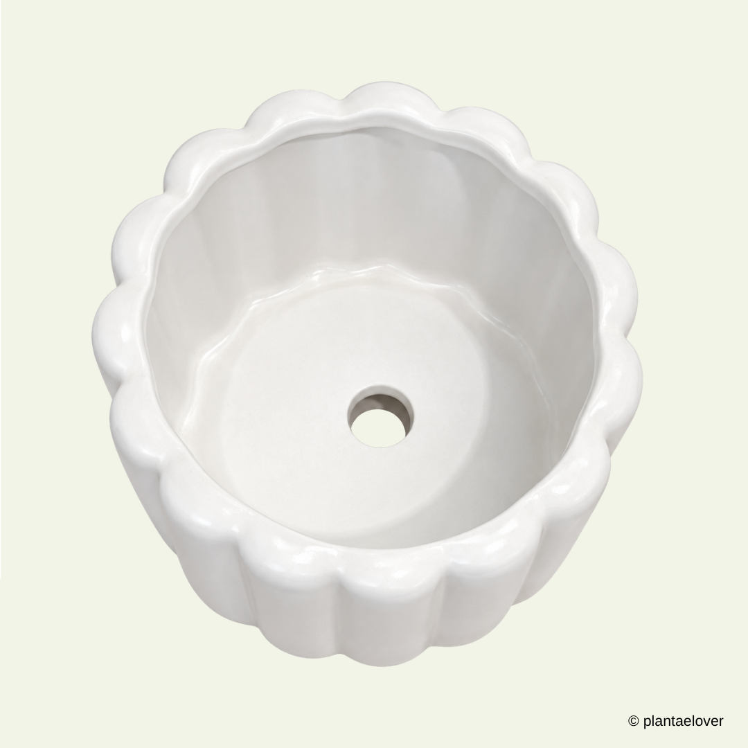 Eclairs Pot