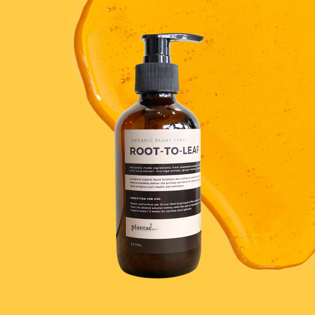 Root–To–Leaf
