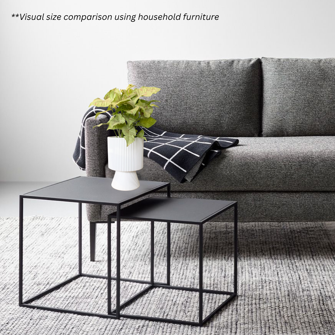 Syngonium Confetti in Estrella Pot