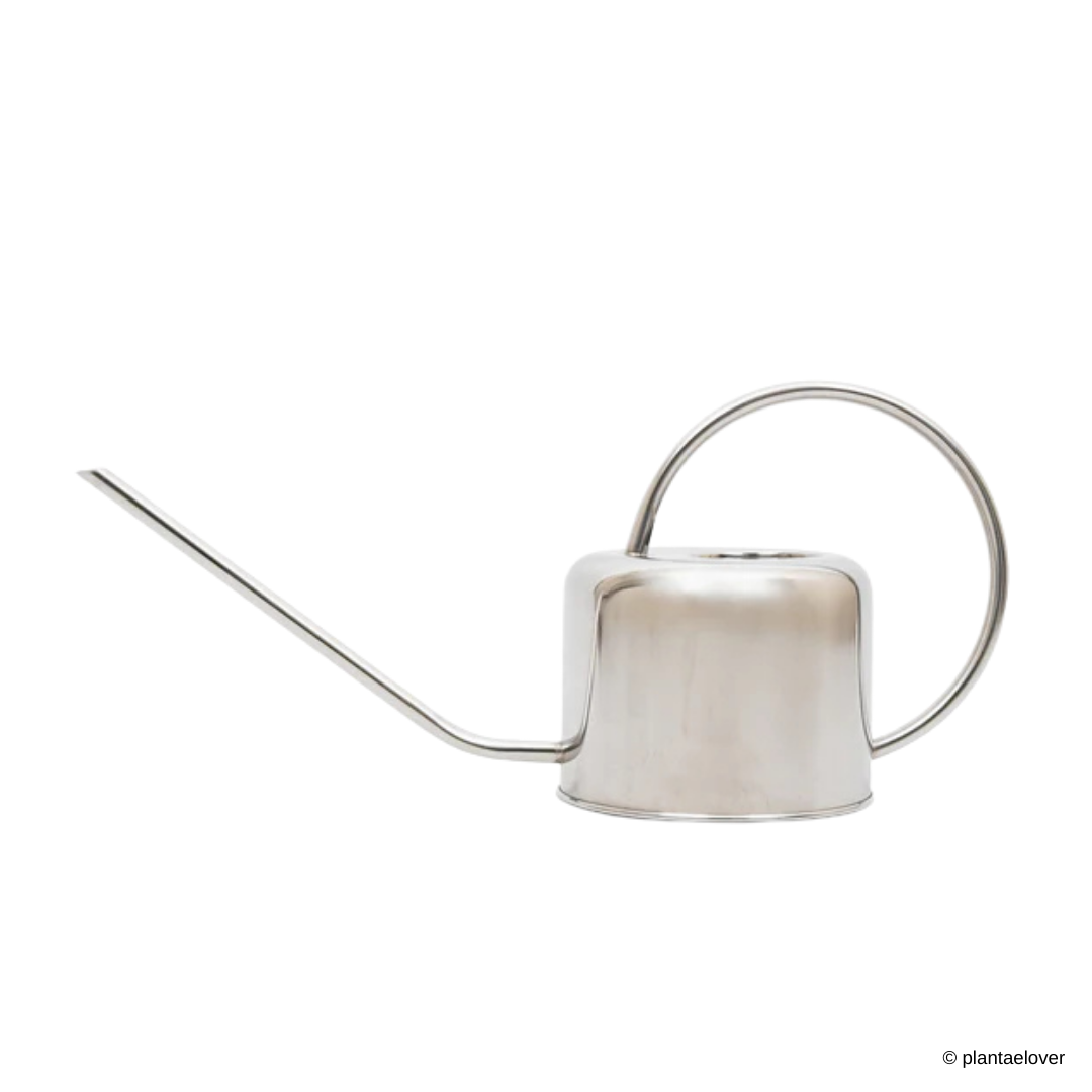 Modern Indoor Watering Can 1.3L Silver