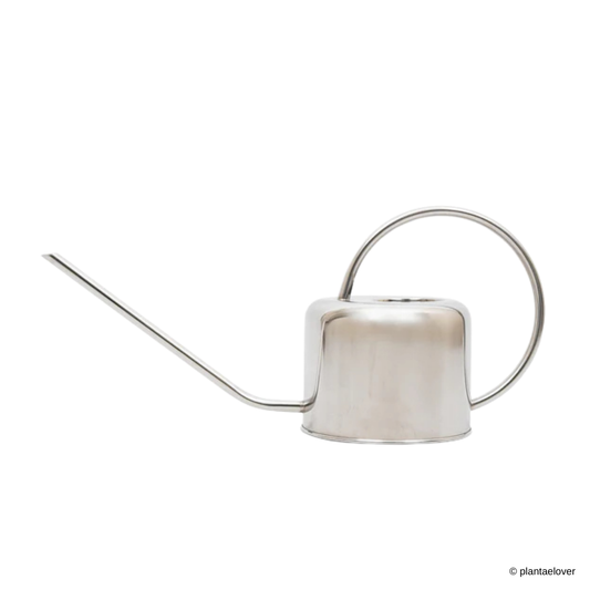 Modern Indoor Watering Can 1.3L Silver