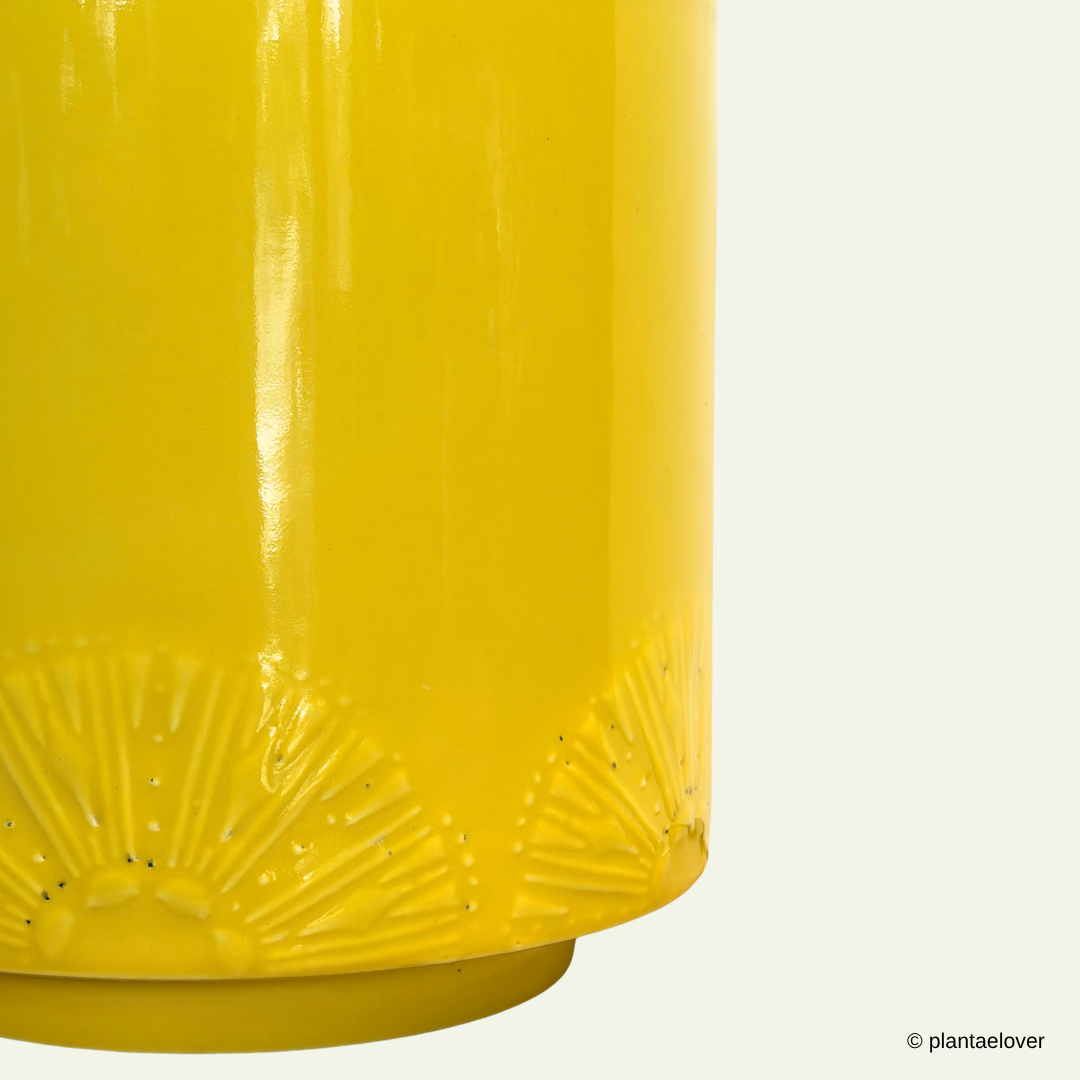 Limoni Pot
