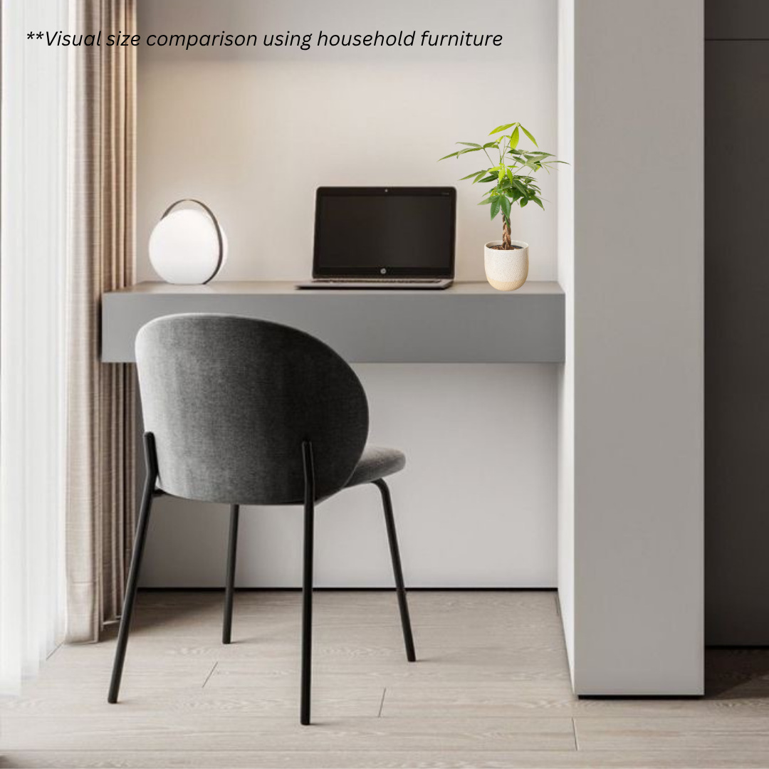 Pachira Aquatica in Squama Pot