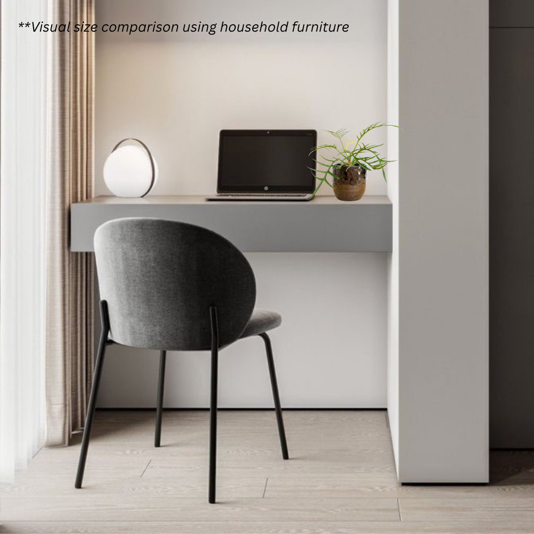 Philodendron Tortum in Cooper Pot