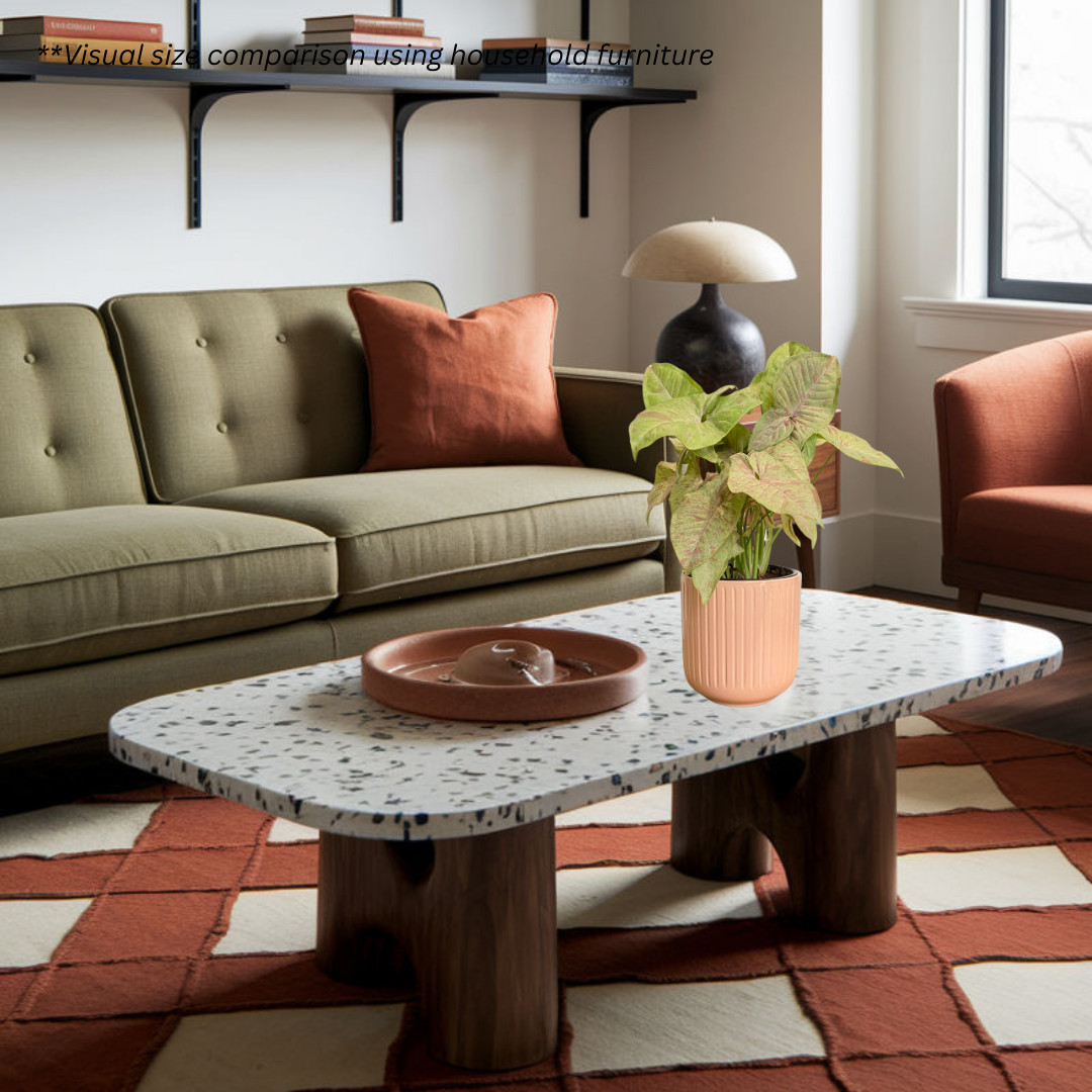 Syngonium Confetti in Peach Pot