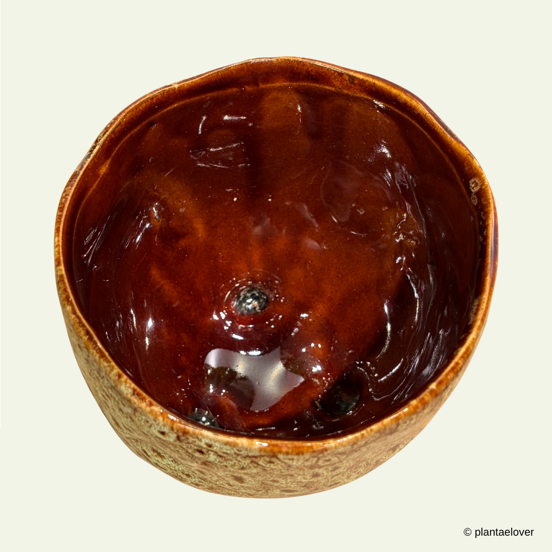 Meranti Pot