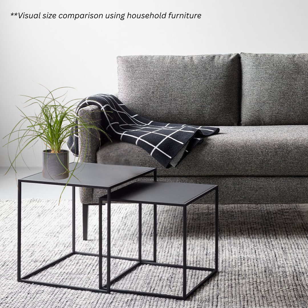 Ponytail Palm in Slate Pot