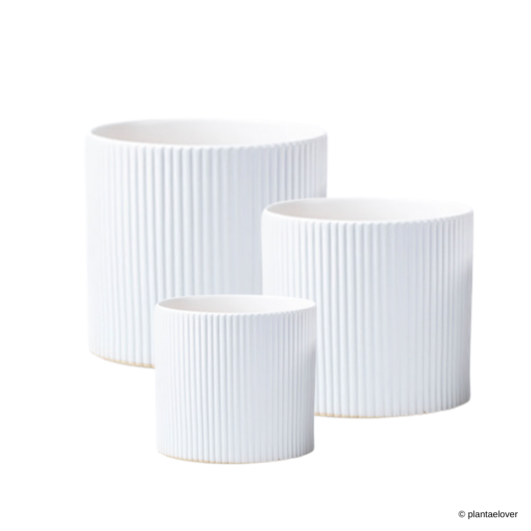 Ribbed Planter