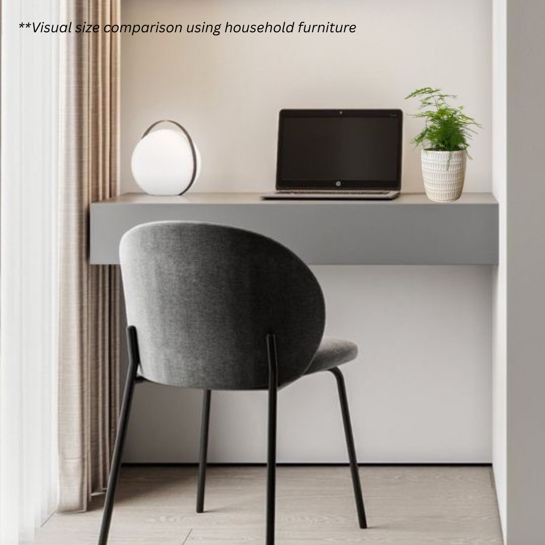 Asparagus Fern in Fur Pot