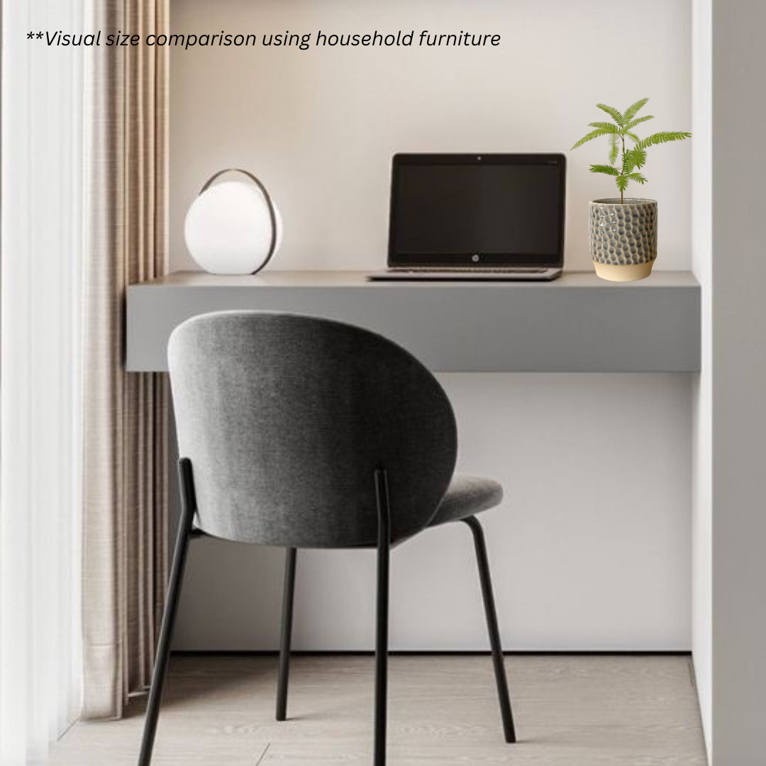 Japanese Everfresh Tree in Lagoon Pot