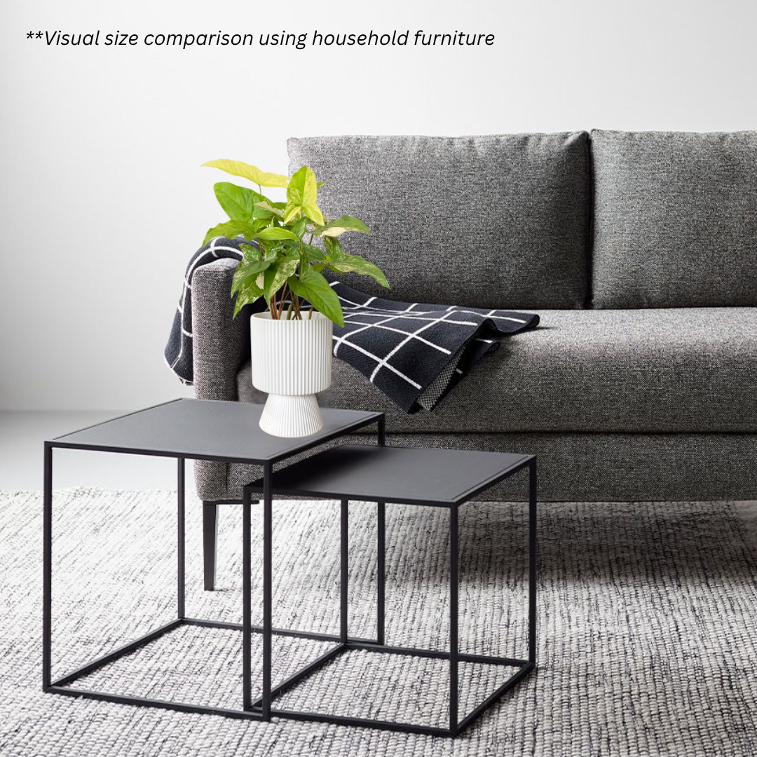 Syngonium Albo Variegata in Estrella Pot