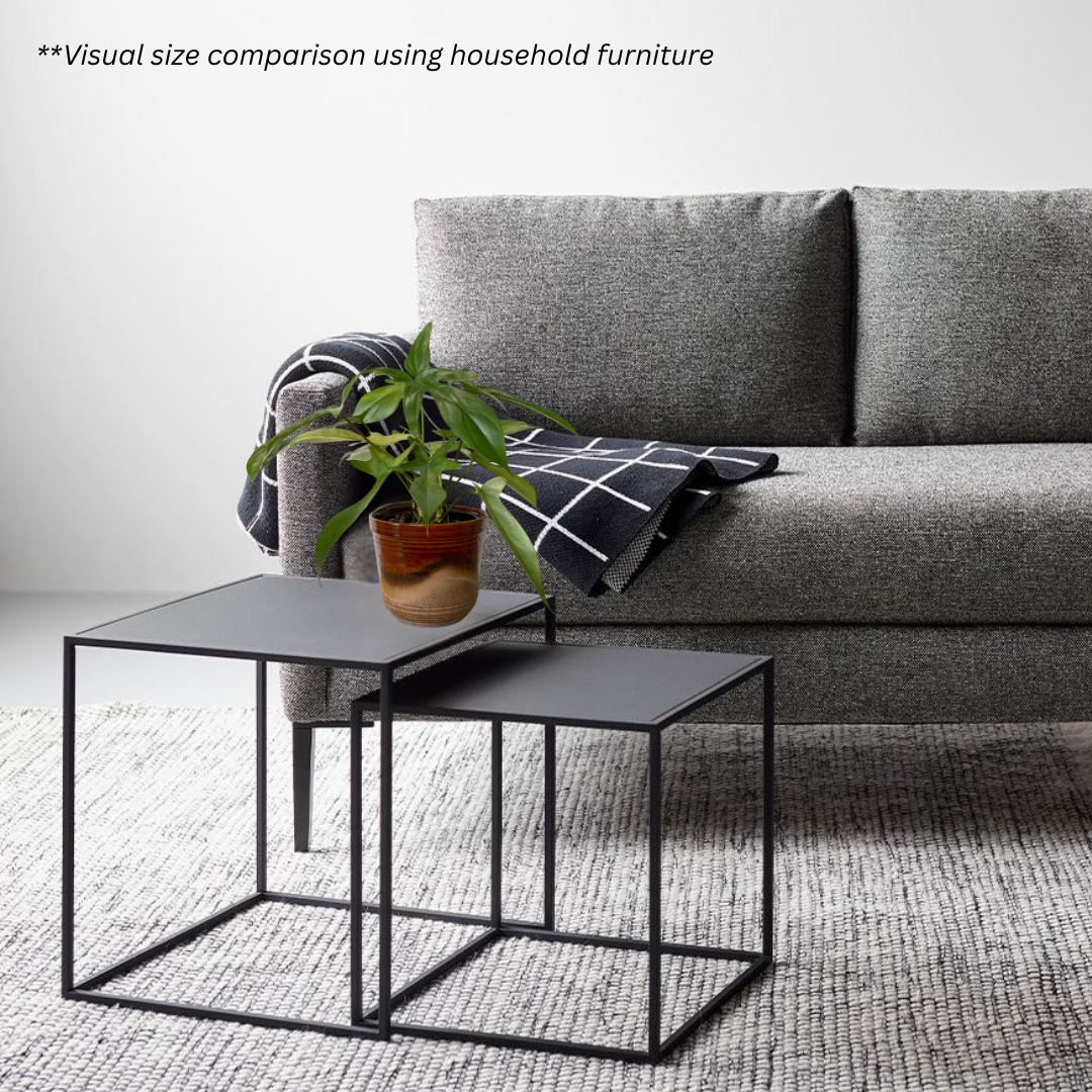 Philodendron Florida Ghost in Sienna Pot