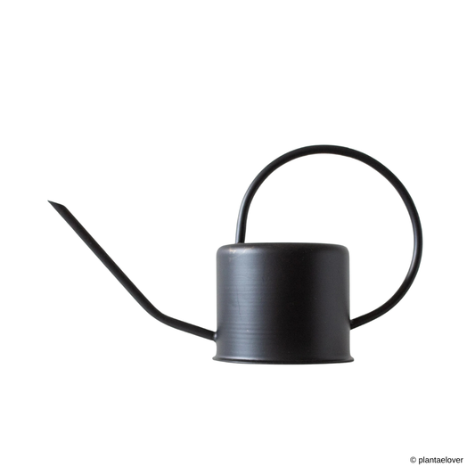 Modern Indoor Watering Can 1.3l in Black Matte