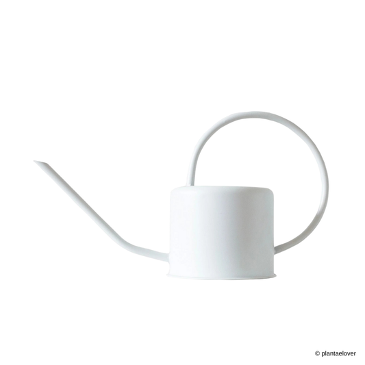 Modern Indoor Watering Can 1.3L in White