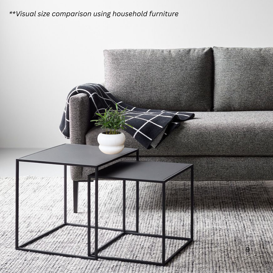 Podocarpus in Laguna Pot