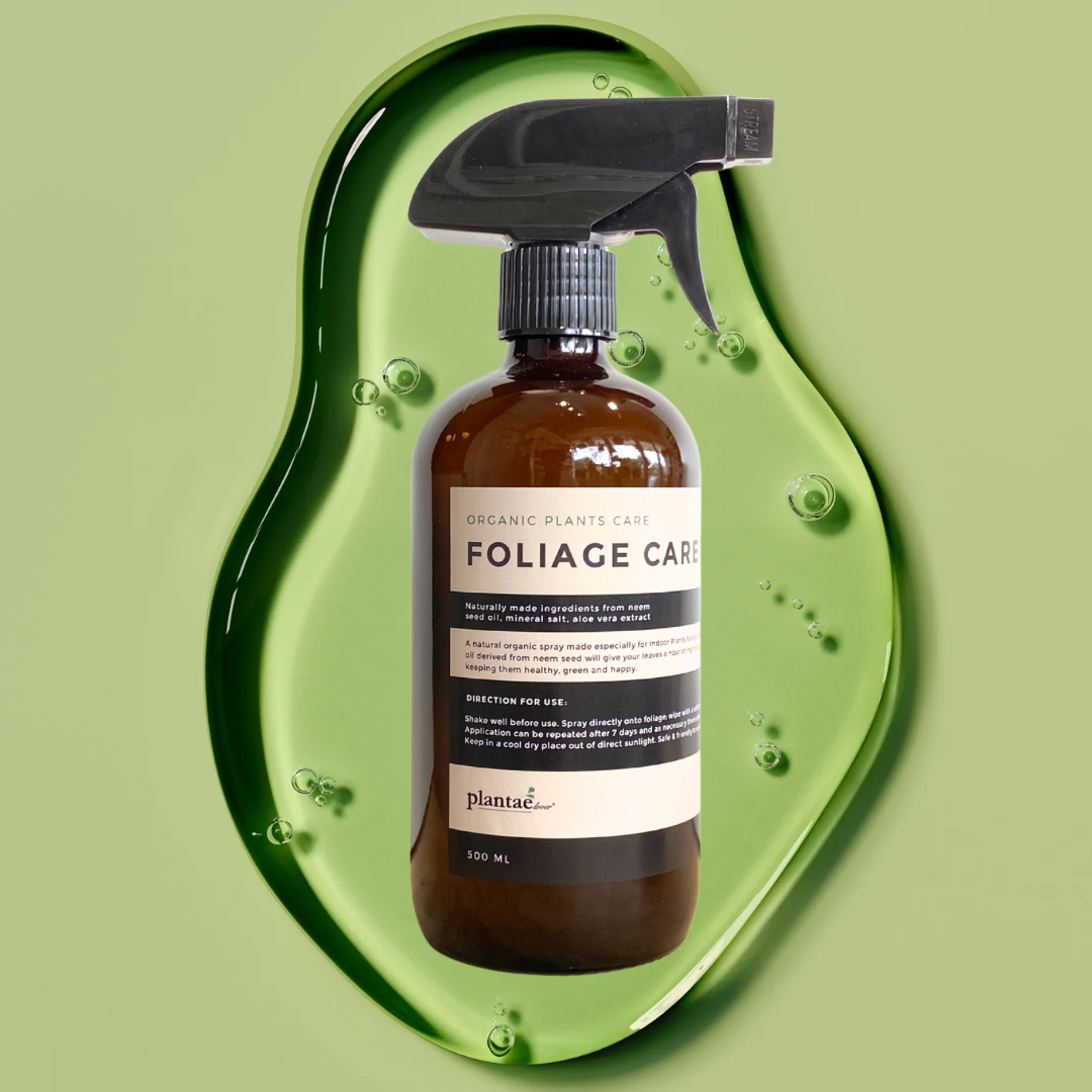Foliage Care