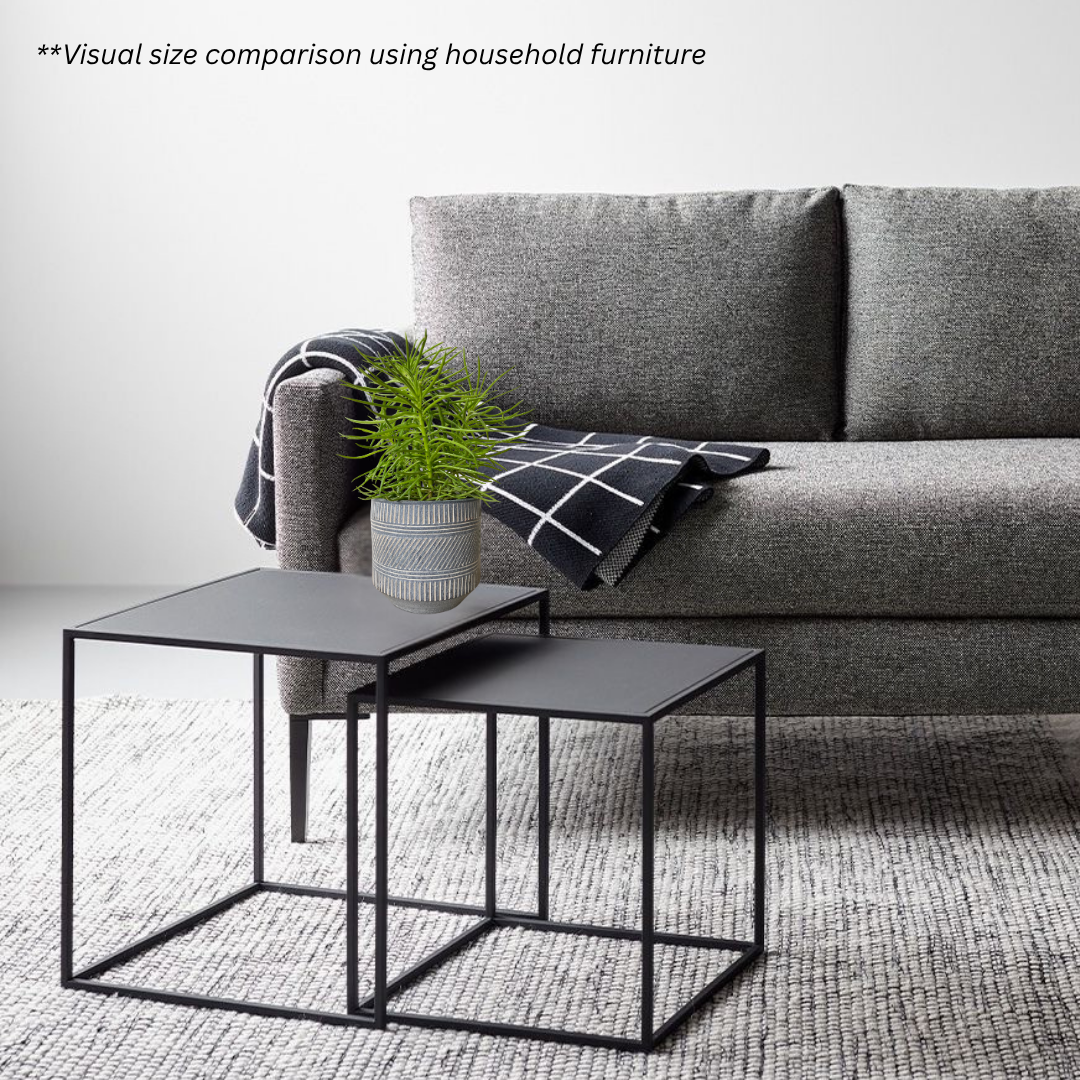 Peperomia Ferreyrae
in Aegean Pot