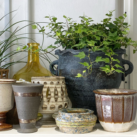 Where Art Meets Green: What Makes Our Artisanal Pots Special