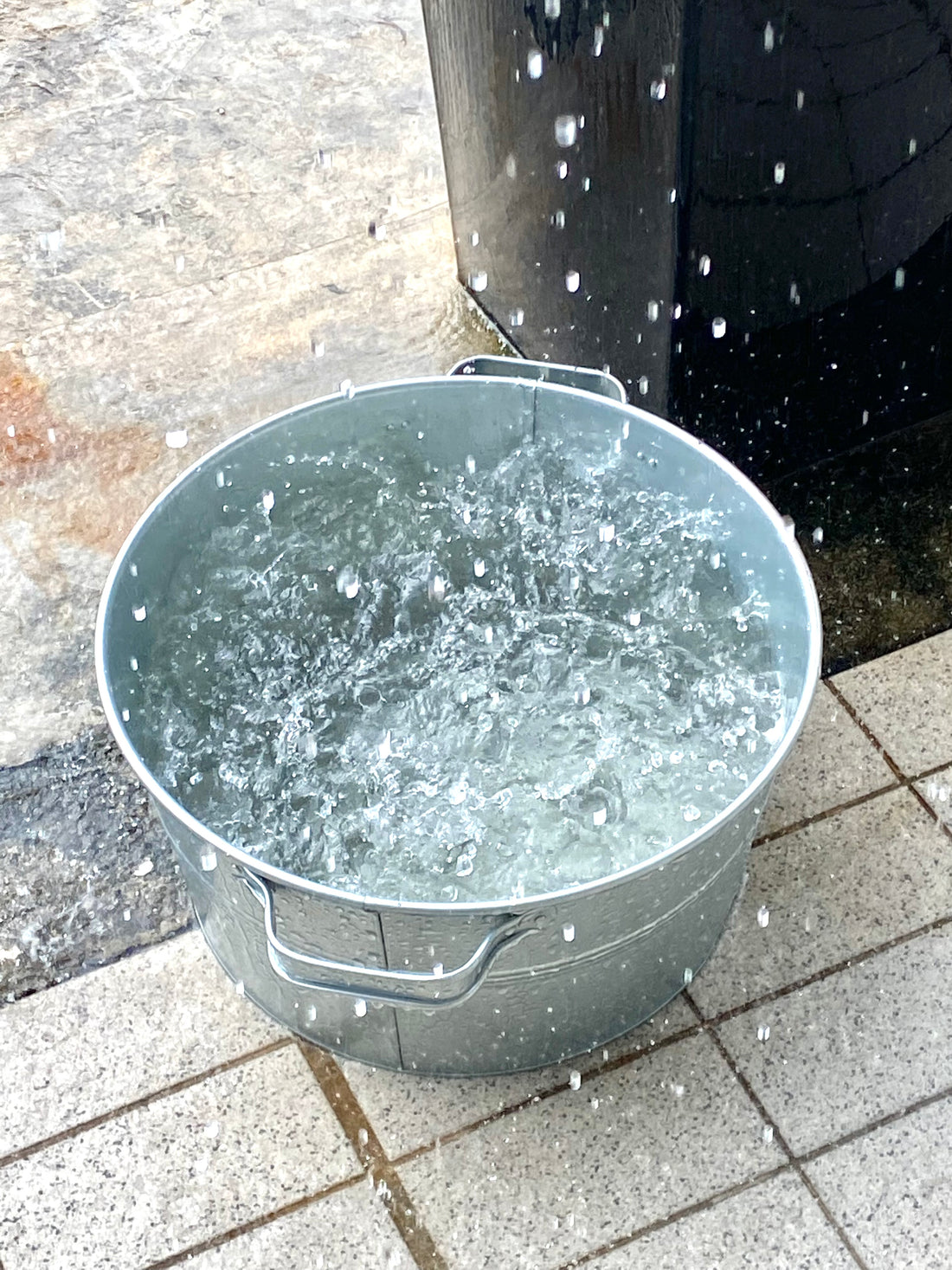 Rainwater For Indoor Plants