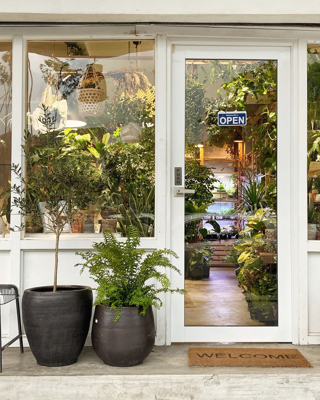 Plantae Lover: Redefining the Urban Plant Shop Experience