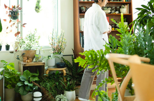 Embrace Slow Living with Plants: Cultivating Calm and Connection in Your Home