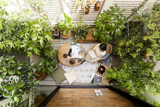 How to Create a Calming Indoor Jungle: Styling Tips for Small Spaces