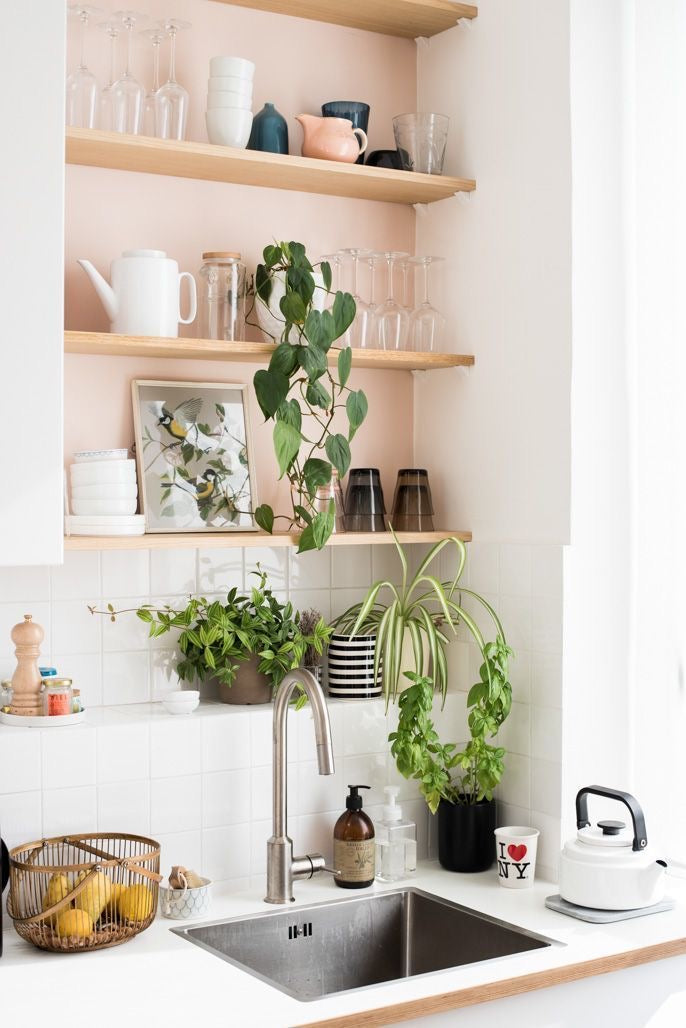 How to Style Your Plants: 10 Tips for Creating a Gorgeous Green Space