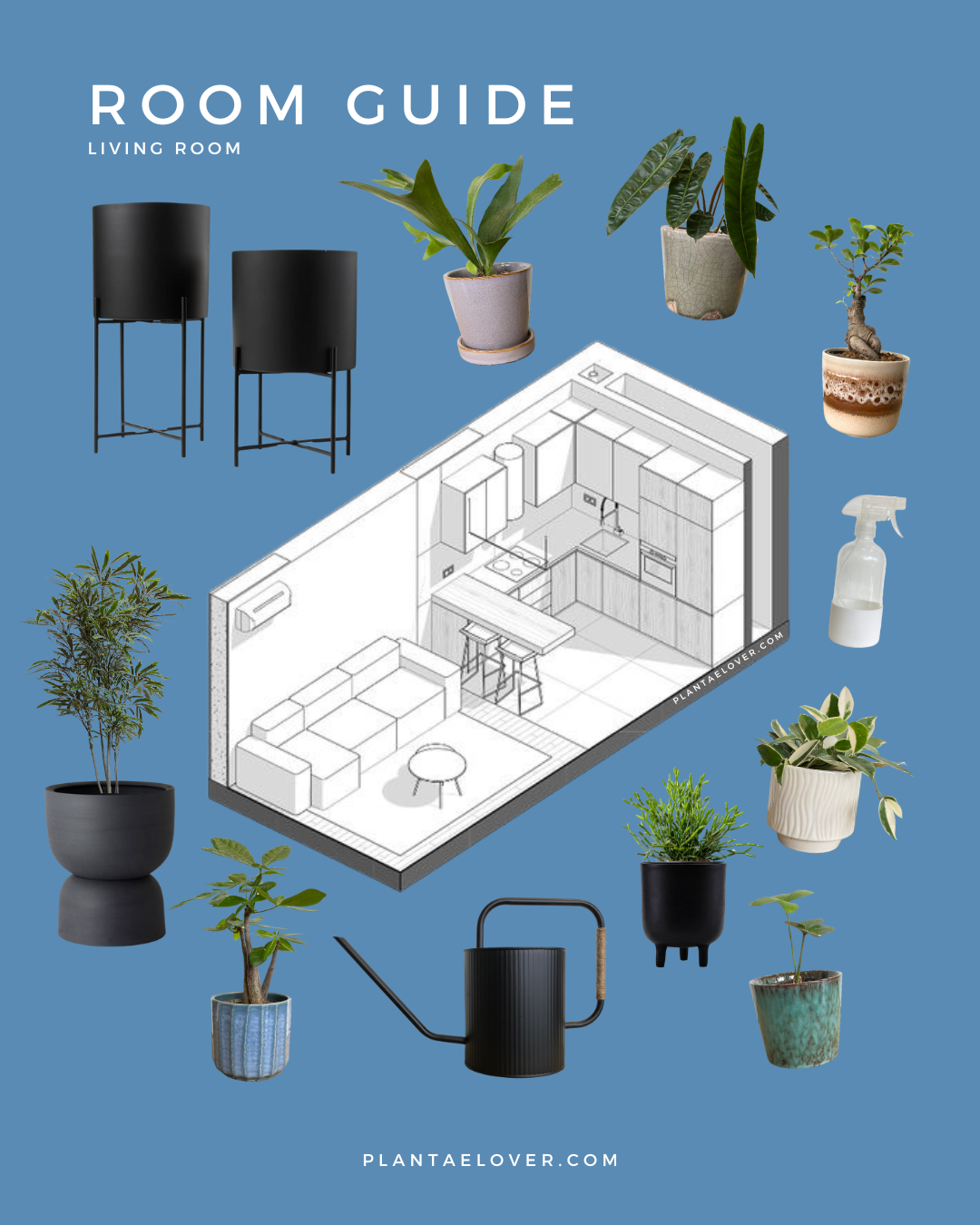 Choosing the Perfect Plant for Your Living Room: A Complete Guide