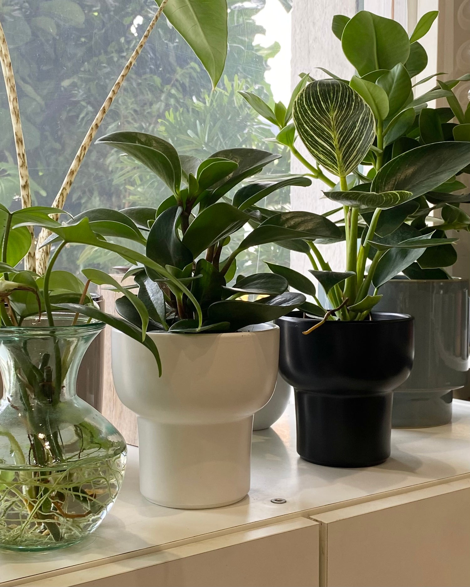 Curated Picks Under RM70