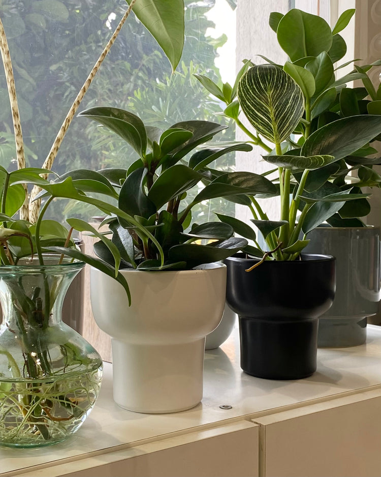 Curated Picks Under RM70