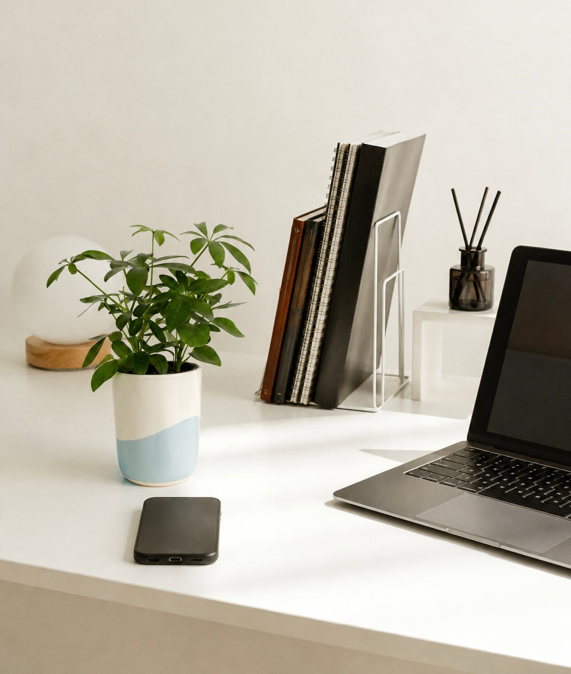 Plants For Work Desk