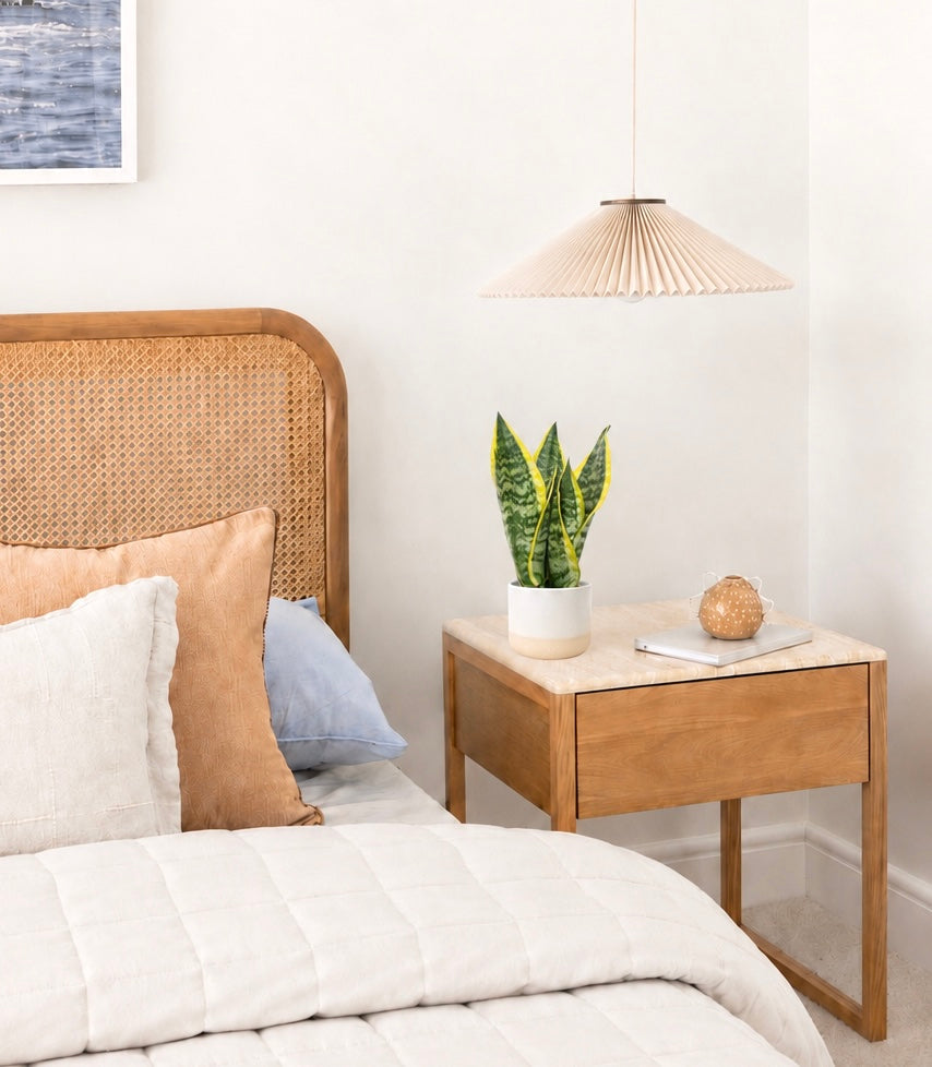 Plants For Bedroom