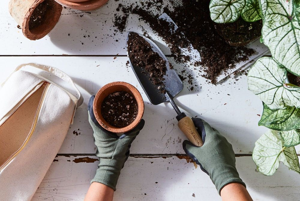 Planting Stuff