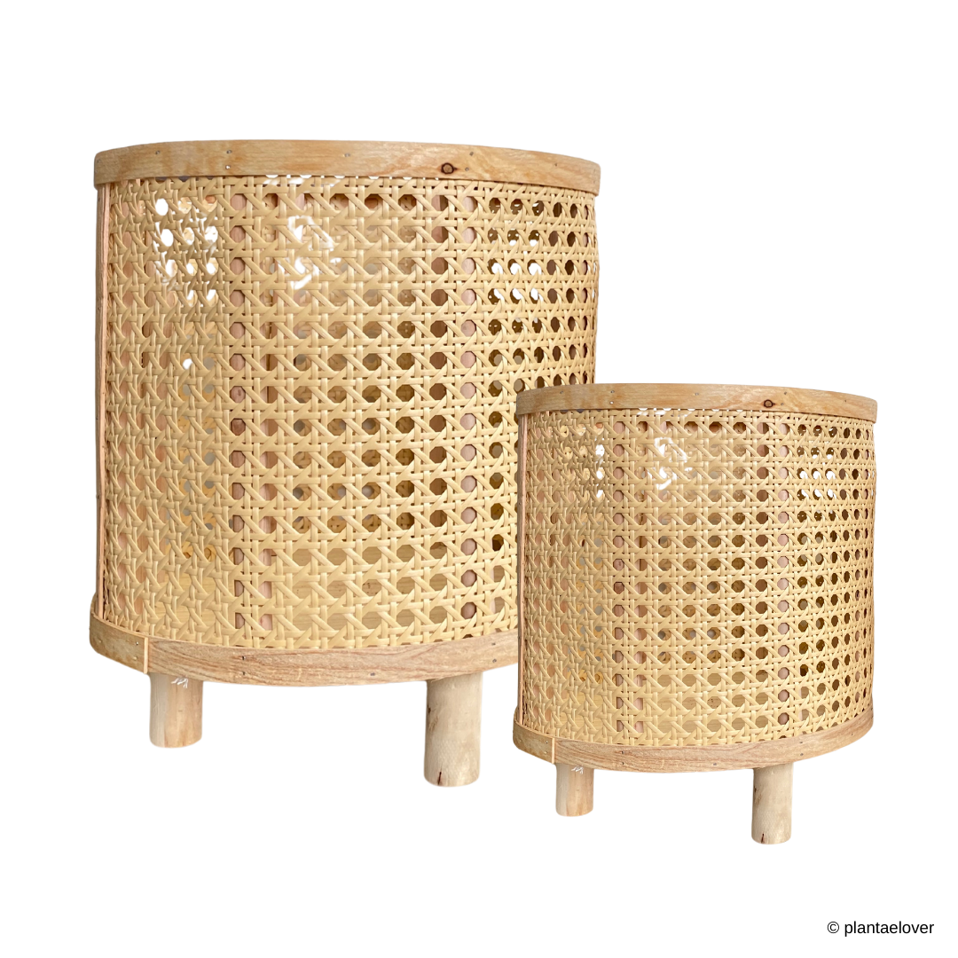 Rattan Planters – plantaelover