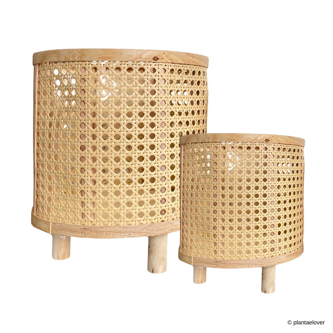 Rattan Planters