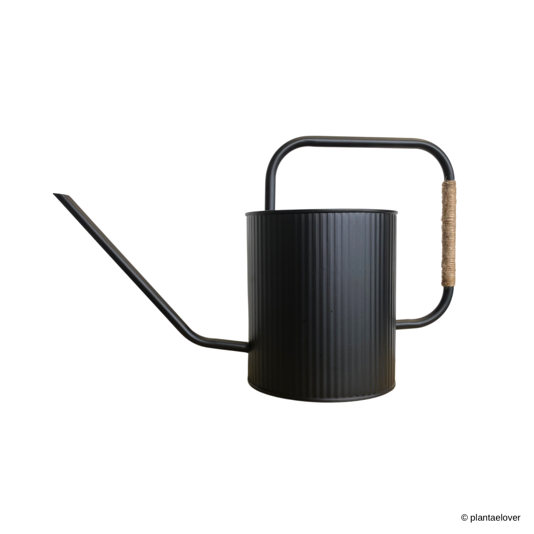 Modern Indoor Watering Can 2L