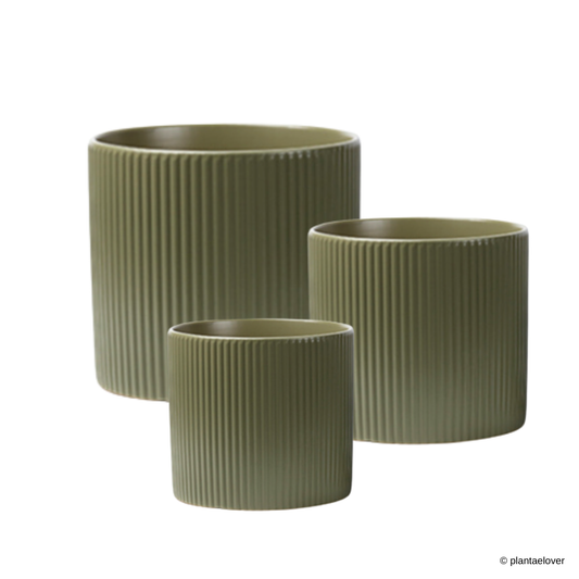 Ribbed Planter