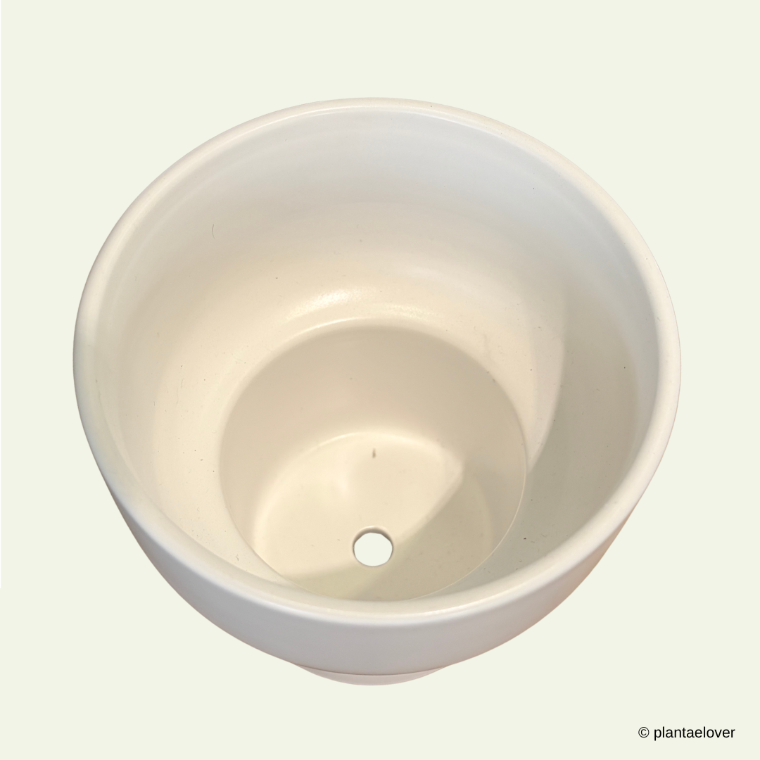 Dodo Pot