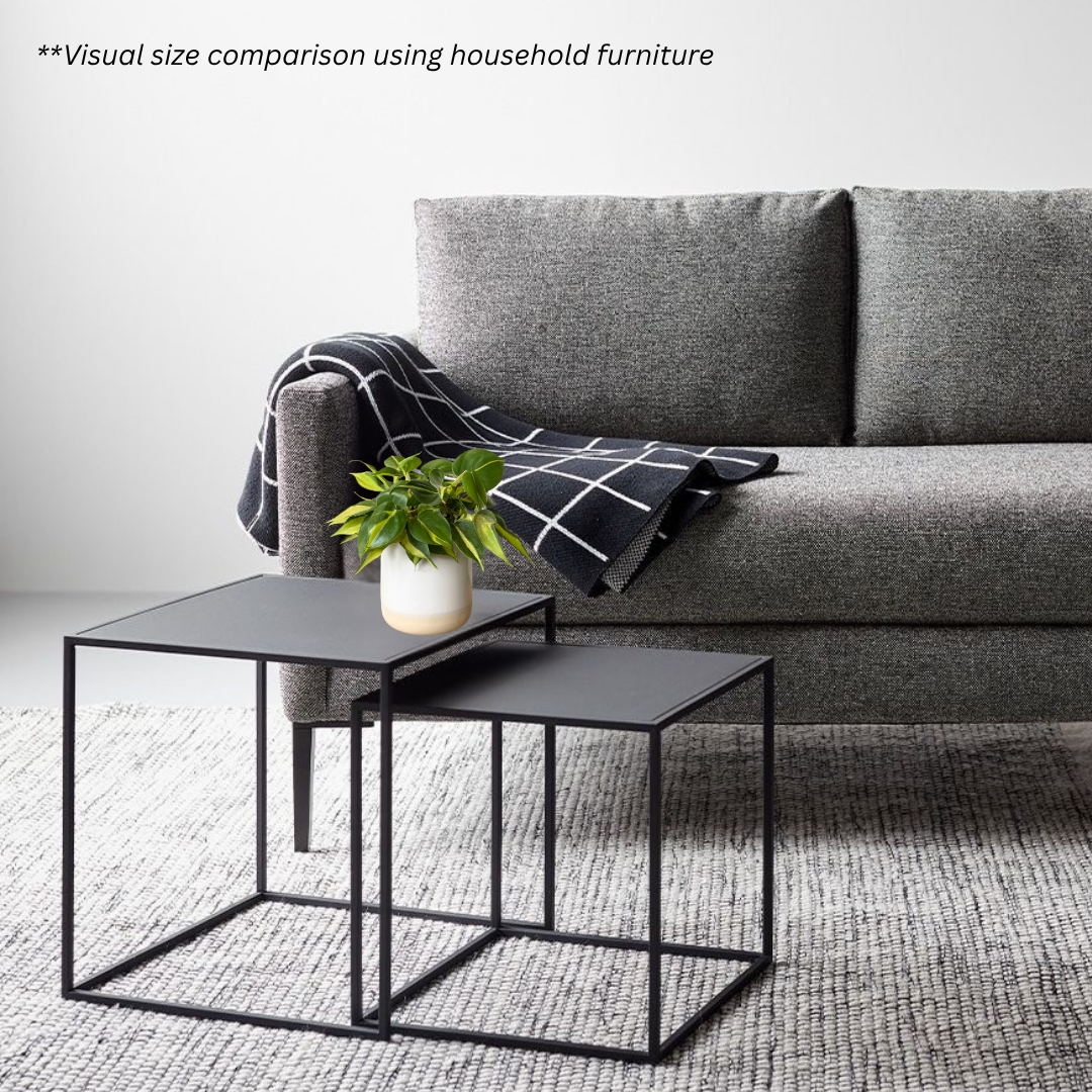 Philodendron Brasil in Moln Pot