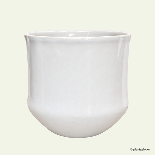 Royal Pot