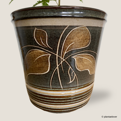 Japanese Everfresh Tree in Batik Pot