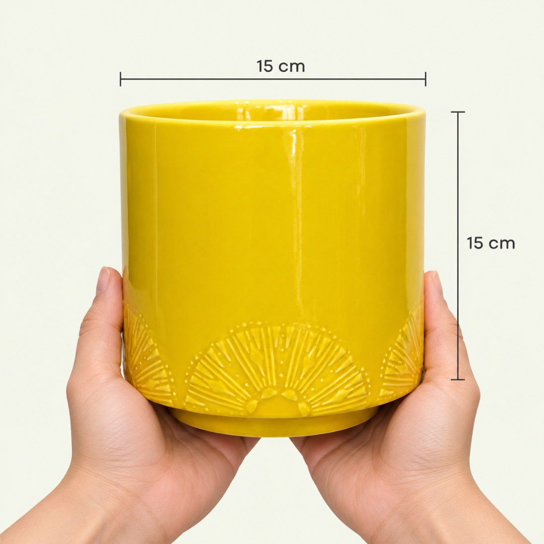 Limoni Pot