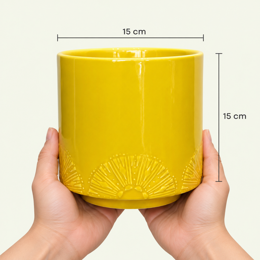 Limoni Pot