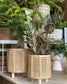 Rattan Planters