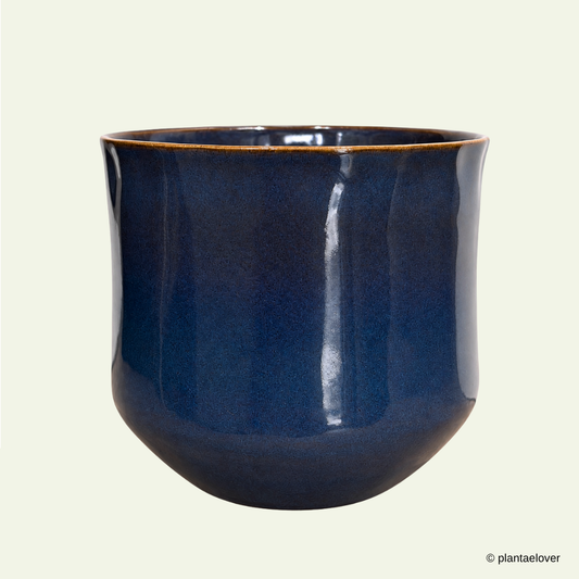 Royal Pot