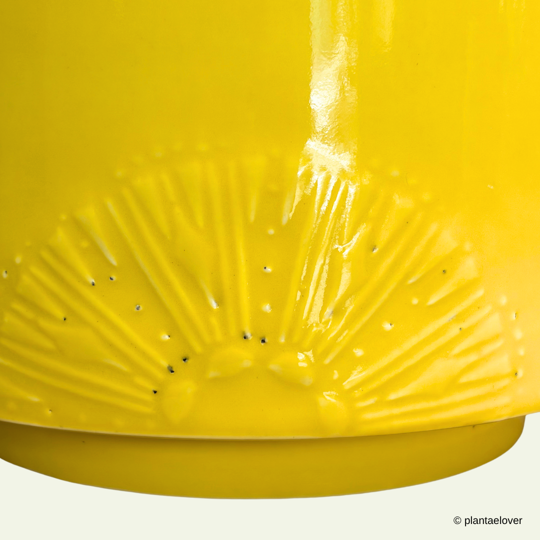Limoni Pot