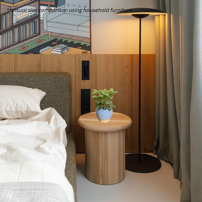 Pilea Cadierei in Cornflower Pot